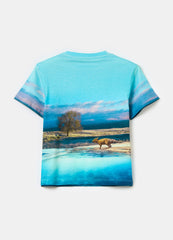 Cotton T-shirt with dinosaurs print