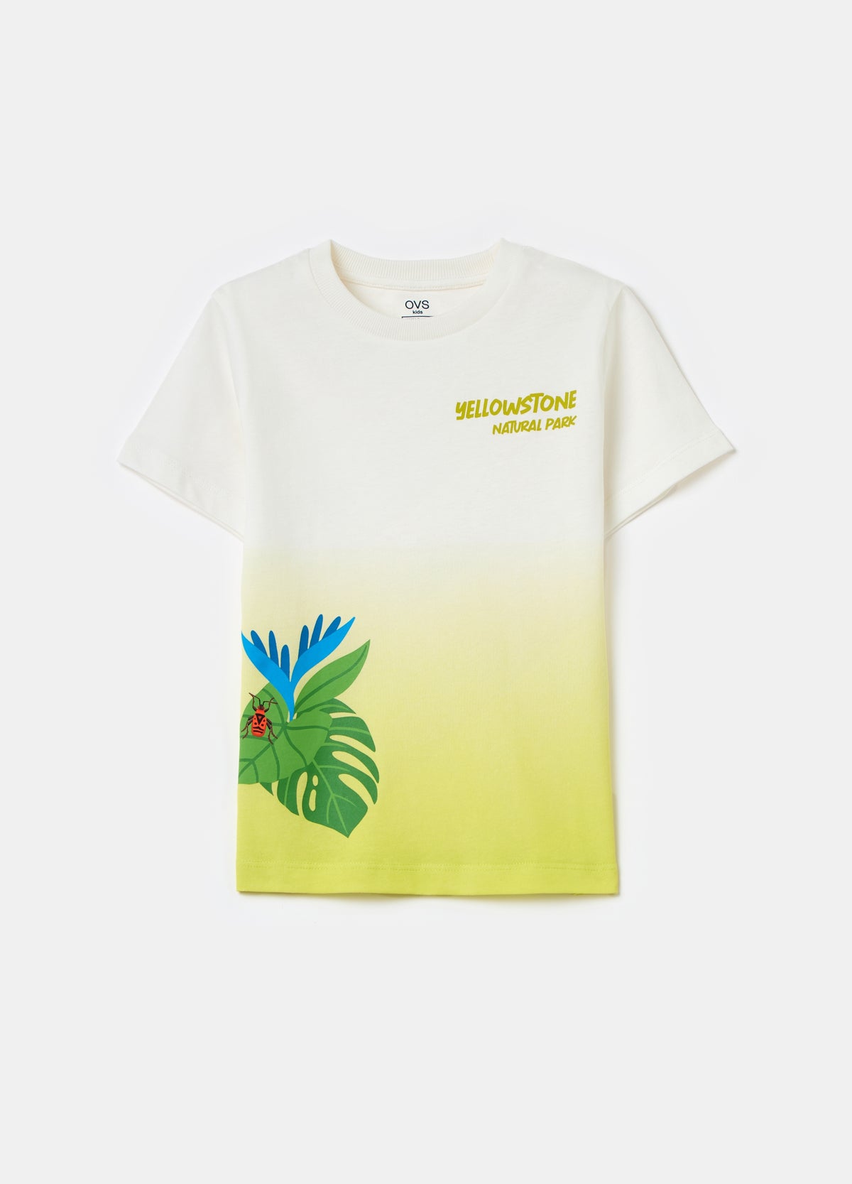 Printed cotton degradé T-shirt