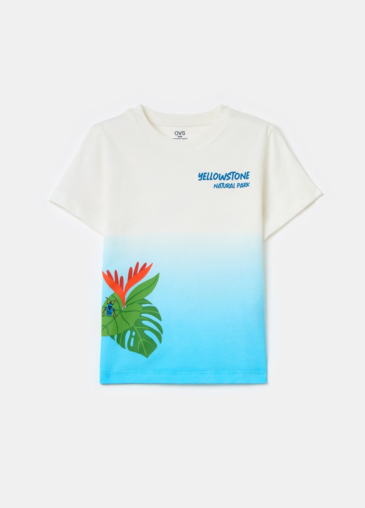 Printed cotton degradé T-shirt