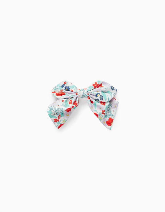 Zippy Hair Slide For Babies And Girls, Multicoloured