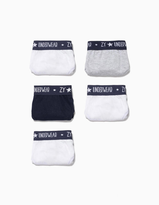 Zippy Pack Of 5 Briefs